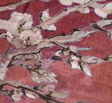 Pechino Shawl Pashmina & Scarves 